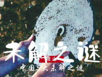 未解之谜的中国神秘事件,揭开历史的神秘面纱