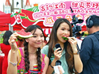 吃瓜者娱乐,吃瓜者的娱乐盛宴