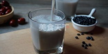黑豆豆浆的做法,简单营养的养生饮品制作方法
