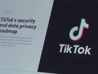 老阳TikTok跨境电商项目是蓝海吗？2025年6月8日tiktop跨境电商
