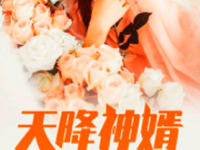 天降神婿全文免费阅读,逆天改命，绝世神婿的逆袭之路