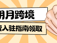 2025年值得去做的跨境电商平台合集！—