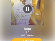 卡农手机铃声,穿越时空的旋律，唤醒记忆的回响