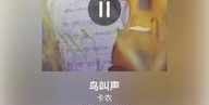 卡农手机铃声,穿越时空的旋律，唤醒记忆的回响