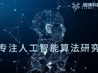 人工智能培训零基础,探索人工智能领域的无限可能——人工智能培训零基础入门指南