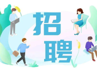 服务行业招聘,多元化岗位需求与人才选拔策略
