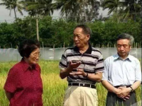娱乐吃瓜助理当枪使,明星如何利用助理成为“传声筒”，制造八卦黑料